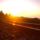 Illustration for article titled Shooting Challenge: Golden Hour Gallery 2